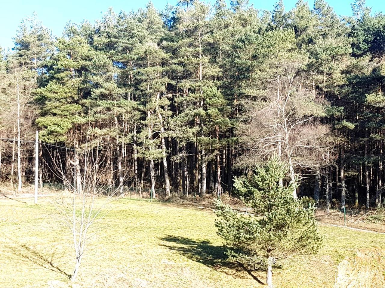 Complejo O Pineiral A Fonsagrada Hotel Kültér fotó